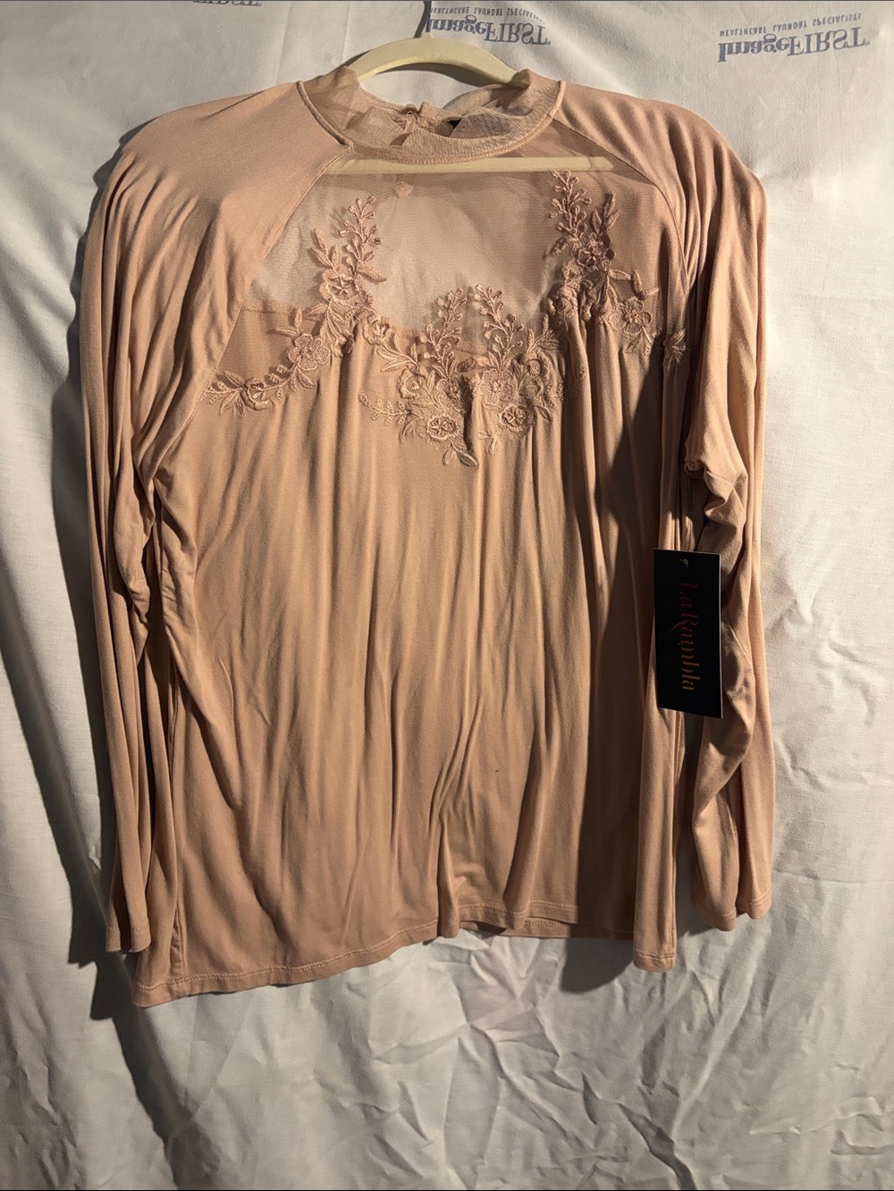 Embellished Sheer Yoke Long Sleeve Top - Blush